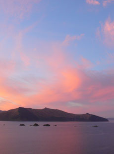 Zur Aktivitäten Bildergalerie